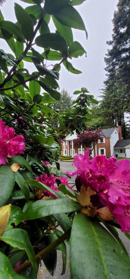 Shiraz Boutique B&B Crescent City Exterior foto